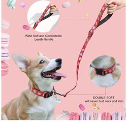 Collar and Leash Size Medium
