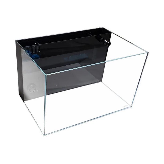 Lifeguard 24 Gallon Aquarium