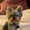 Lilly Valle