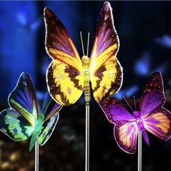 Outdoor Solar Garden Lights