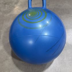 Kids Sit On Bounce Ball     $5