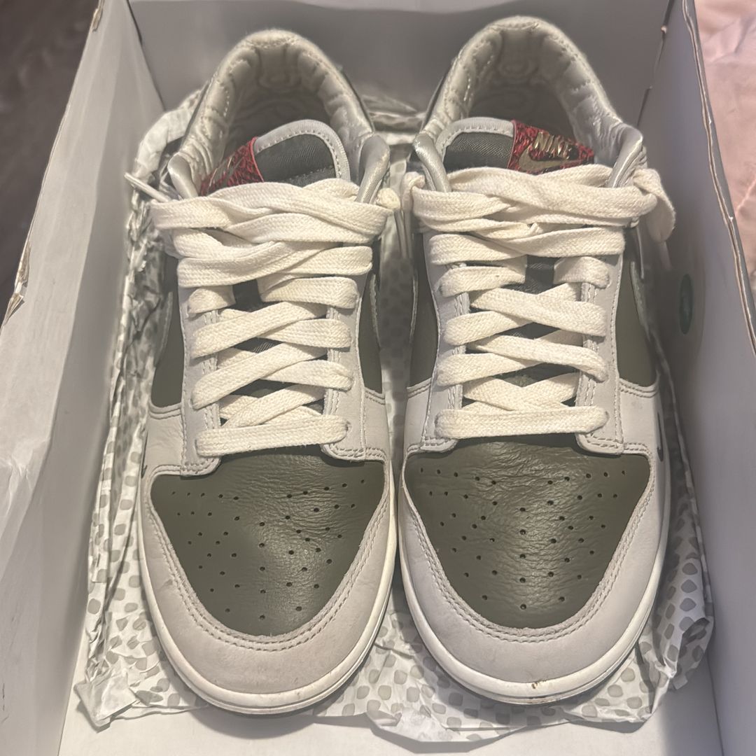 dunks + nike tech