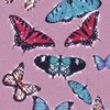 check out my offers!!