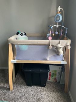 Baby Delight Beside Me Wink Bassinet
