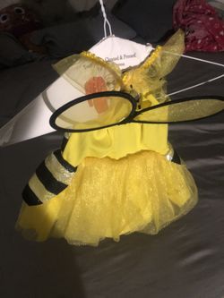 Bee Costume