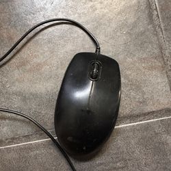 Mouse