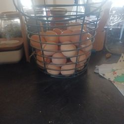 Pasture, Free Range Chicken Eggs 