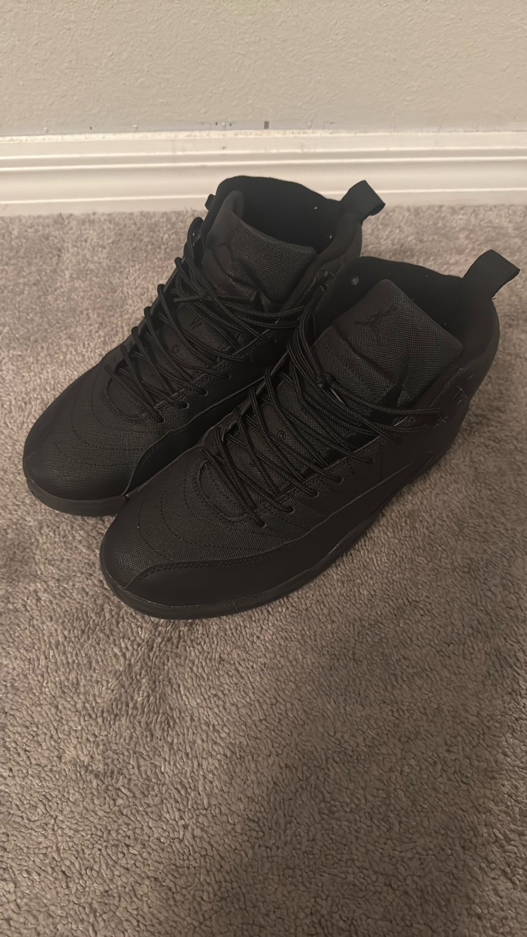 Men’s Jordan Retro 12 Size 11