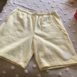 Nike Shorts Large