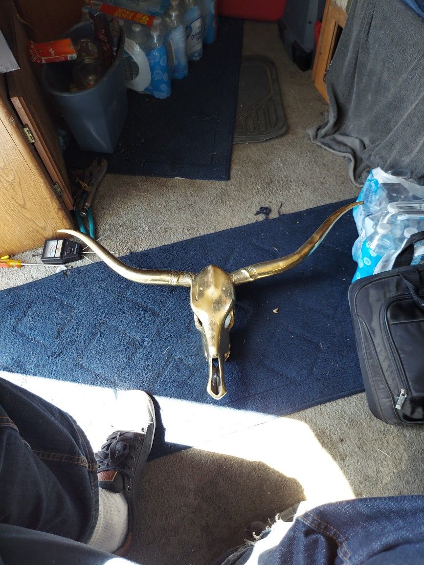 32in Brass Long Horn