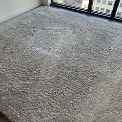 Safavieh August Shag Rug