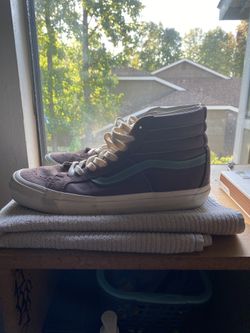 Rare Sk8 Hi (blue/brown)
