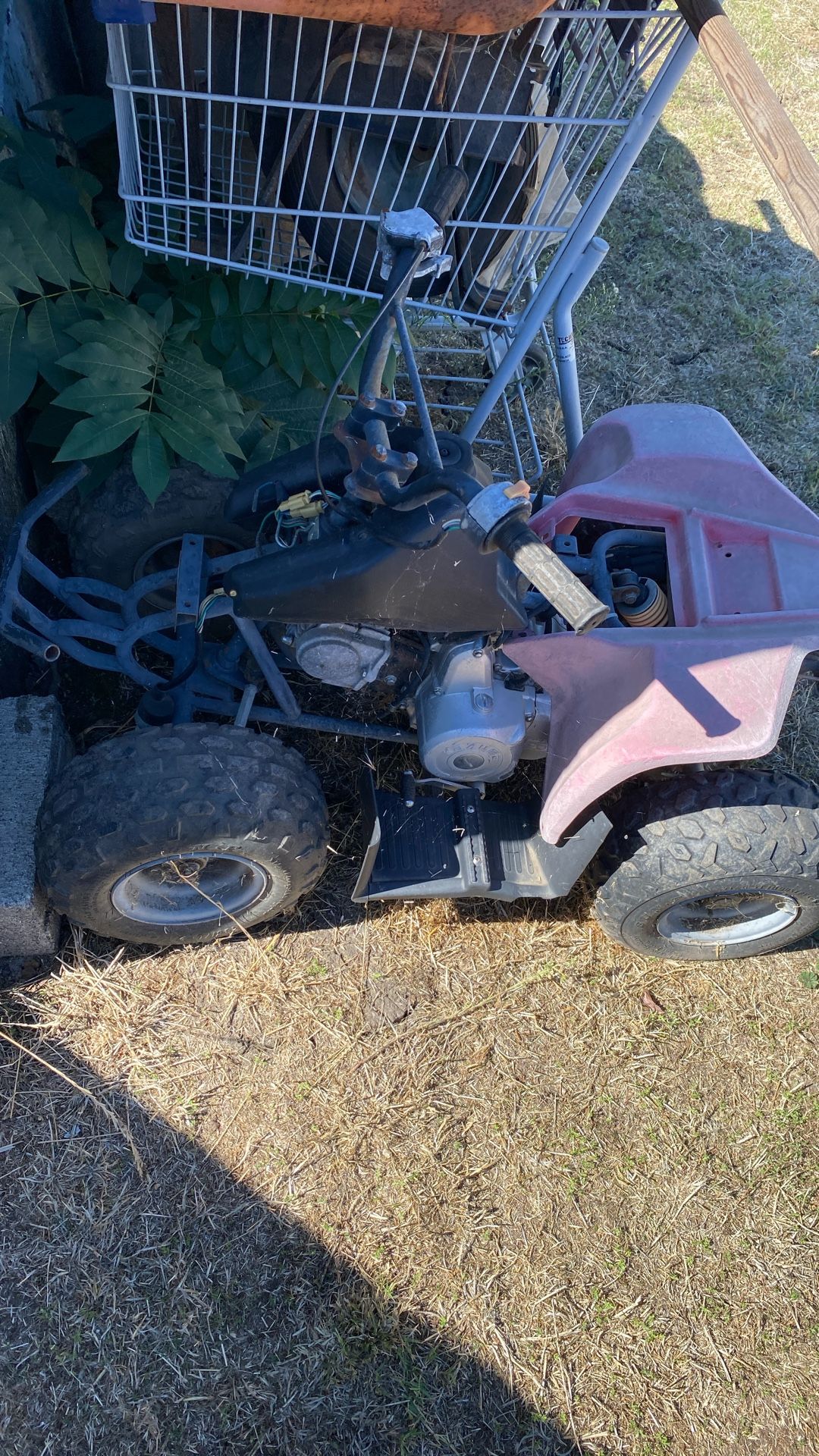 Quad