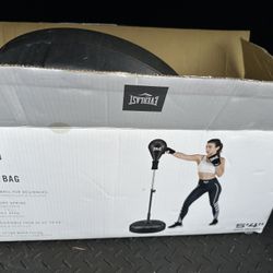 Everlast Core Reflex Bag