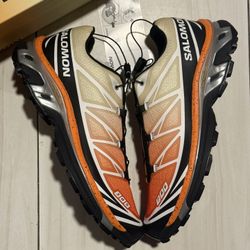 Salomon XT-6 Florida Snow Crab