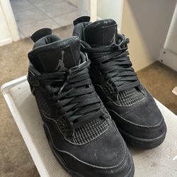 Black Cat 4