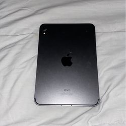 iPad mini (6th generation)  256 GB