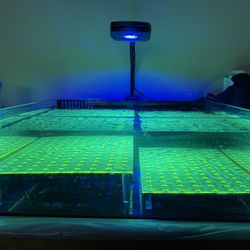 22 Gallon Frag Tank And Pump