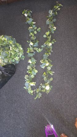 24 Guias de flores
