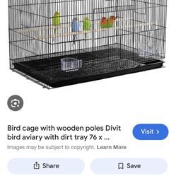 Bird Cage 