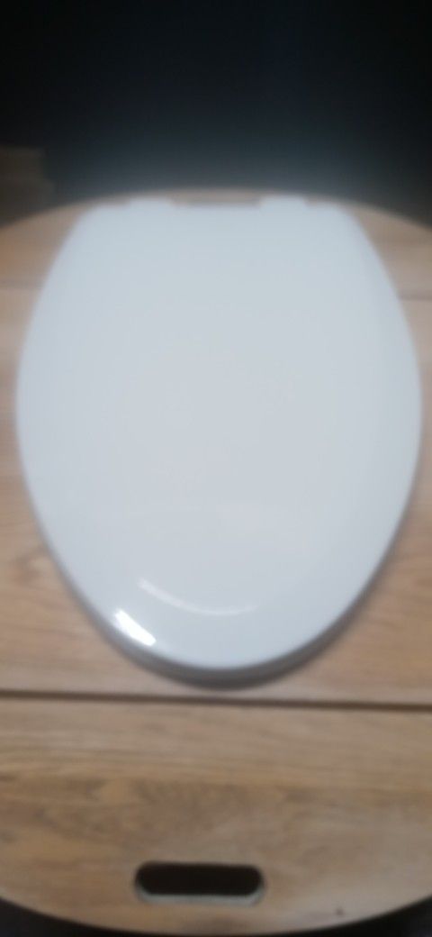 Toilet Seat