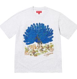Supreme Peacock Top