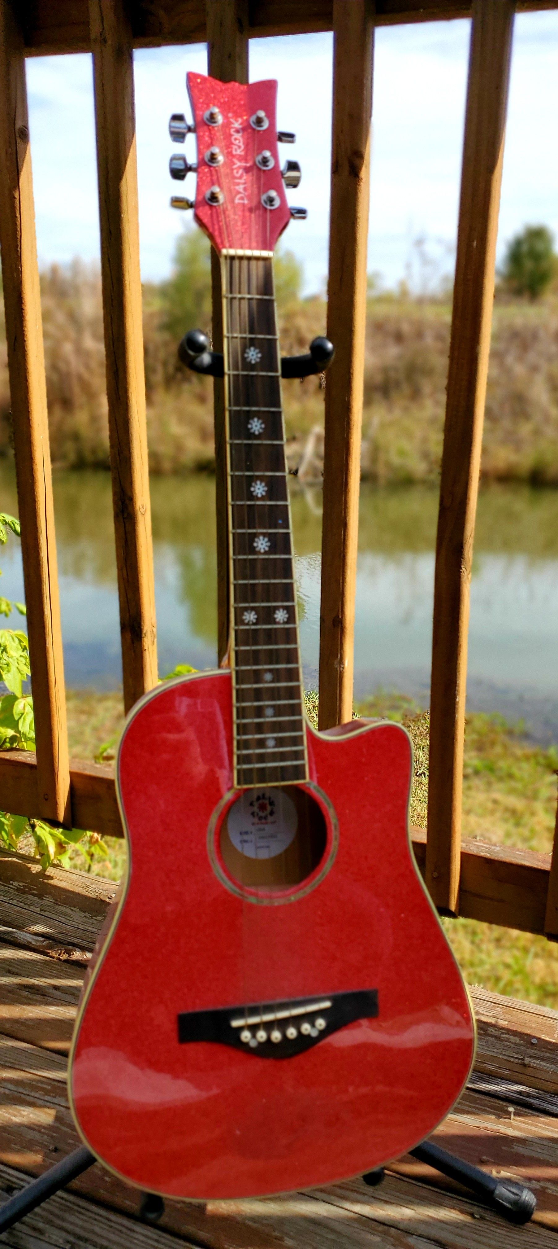 Daisy Rock Acoustic - mini