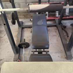 Bench And Weights 