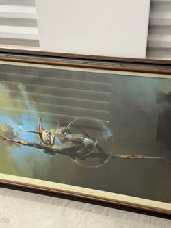 Airplane  framed art