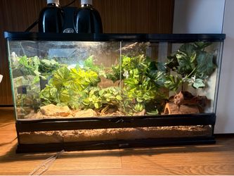 25 Gallon terrarium (NO DECOR OR LIGHTS INCLUDED)
