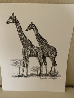 Animal Drawings - 10 Drawings 