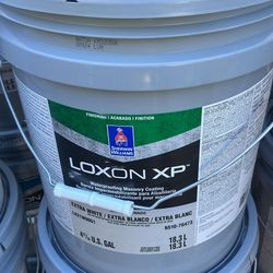 Paint exterior Satin Loxon XP (Alabaster)