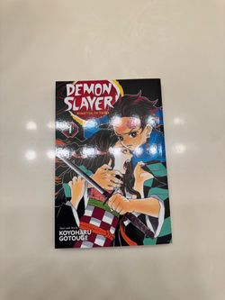 Demon slayer vol 1