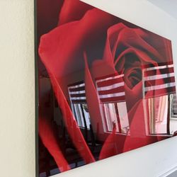 Beautiful Rose Flower Wall Frame