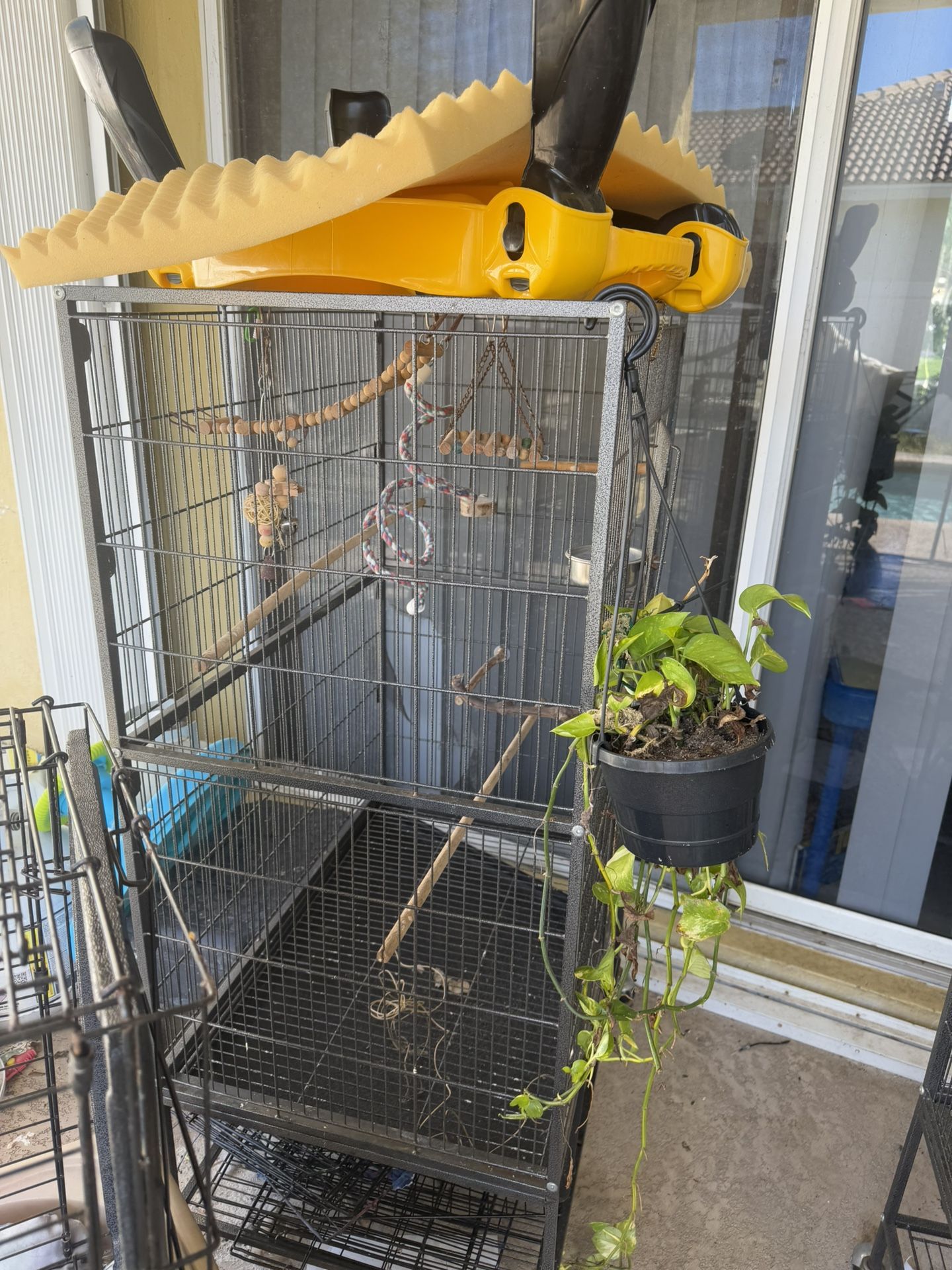 Bird Cages