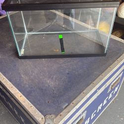 Fish Tank 10 Gallon 