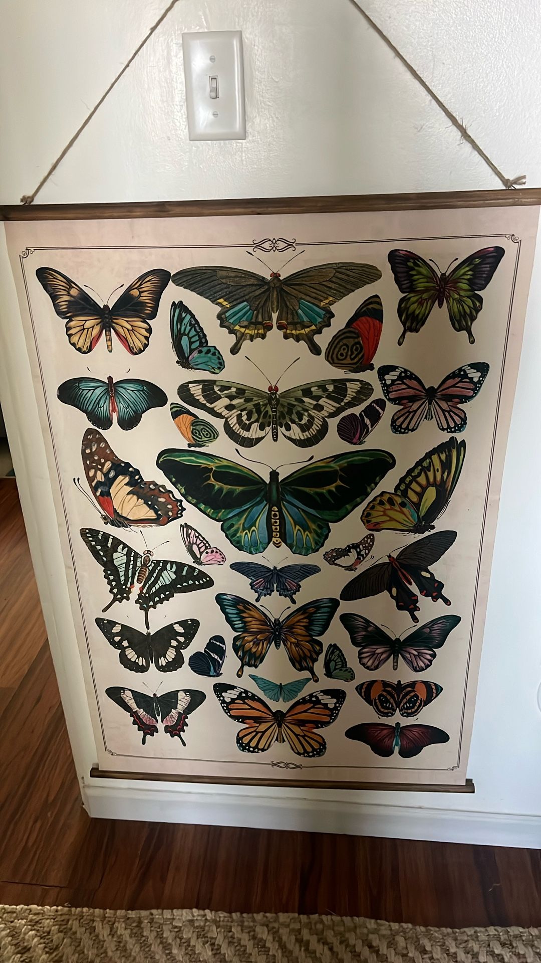 Butterfly Wall Art