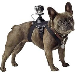 Fetch GoPro Dog Harness
