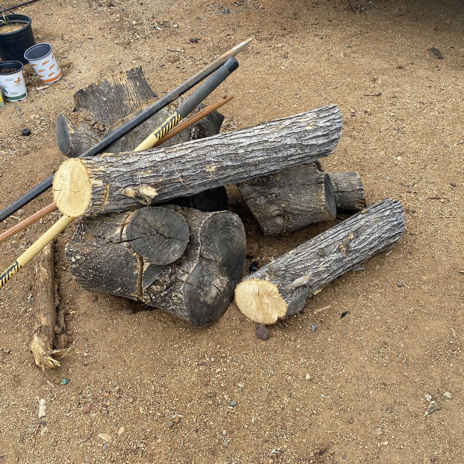 Free Firewood