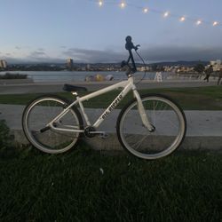 City grounds Se Big Ripper 29inch