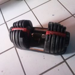 Bowflex Dumbbell