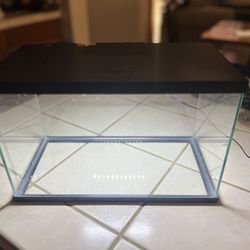3 Gallon Glass Aquarium W Lamp