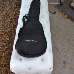 GUITAR CASE By SPECTRUM 
