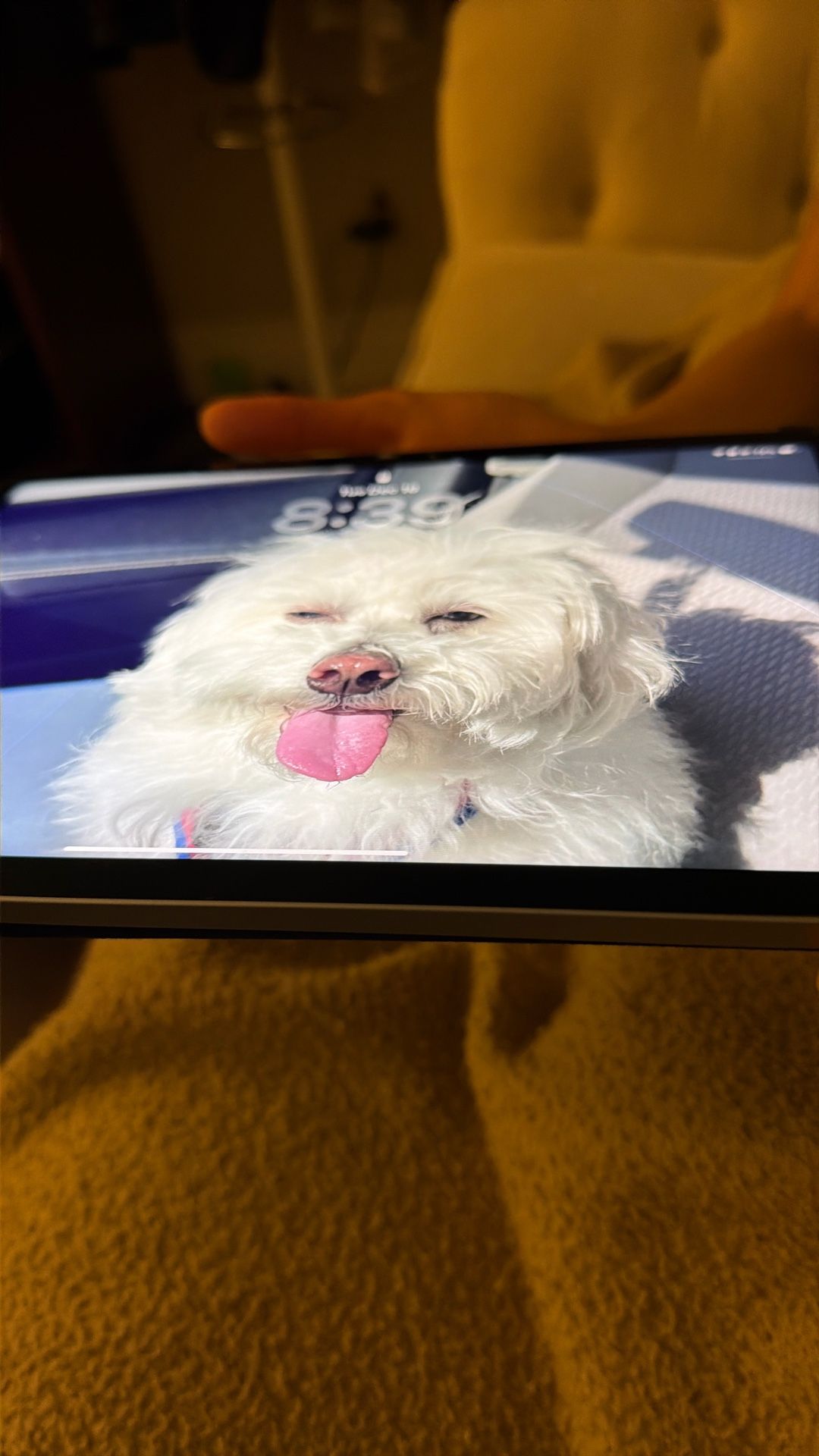 IPad Air 4th Gen Cracked Screen