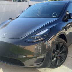 2025 Tesla Model Y