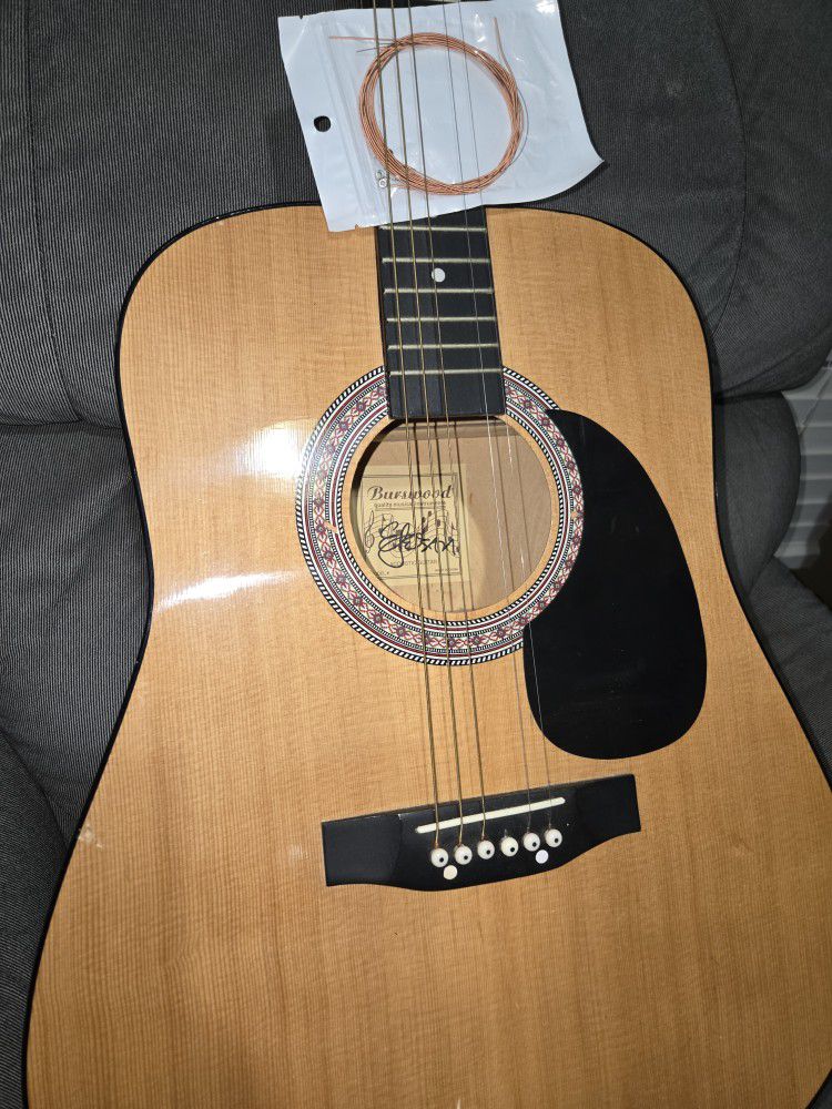 Acoustic Guitar  $79