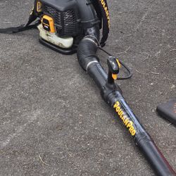 Poland Pro Gas Powered Blower PR 46BT $100