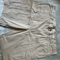 Carhartt Cargo Shorts (with tag)