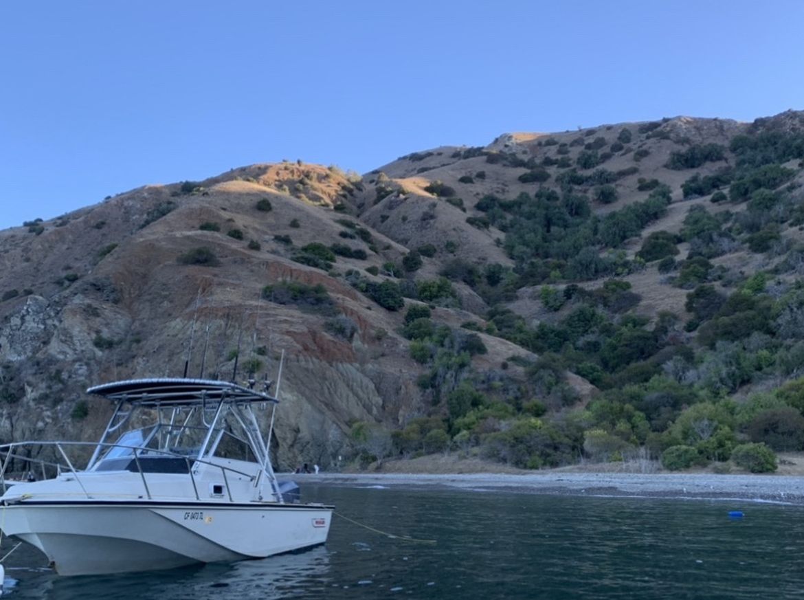 1980 Boston Whaler Revenge 22