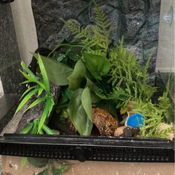 Reptile Tank 